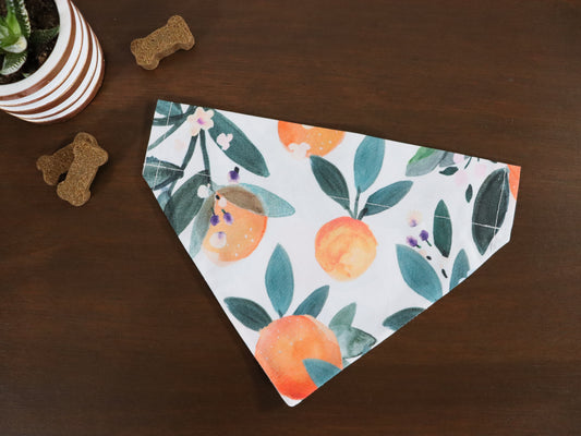 Orange Blossom Bandana